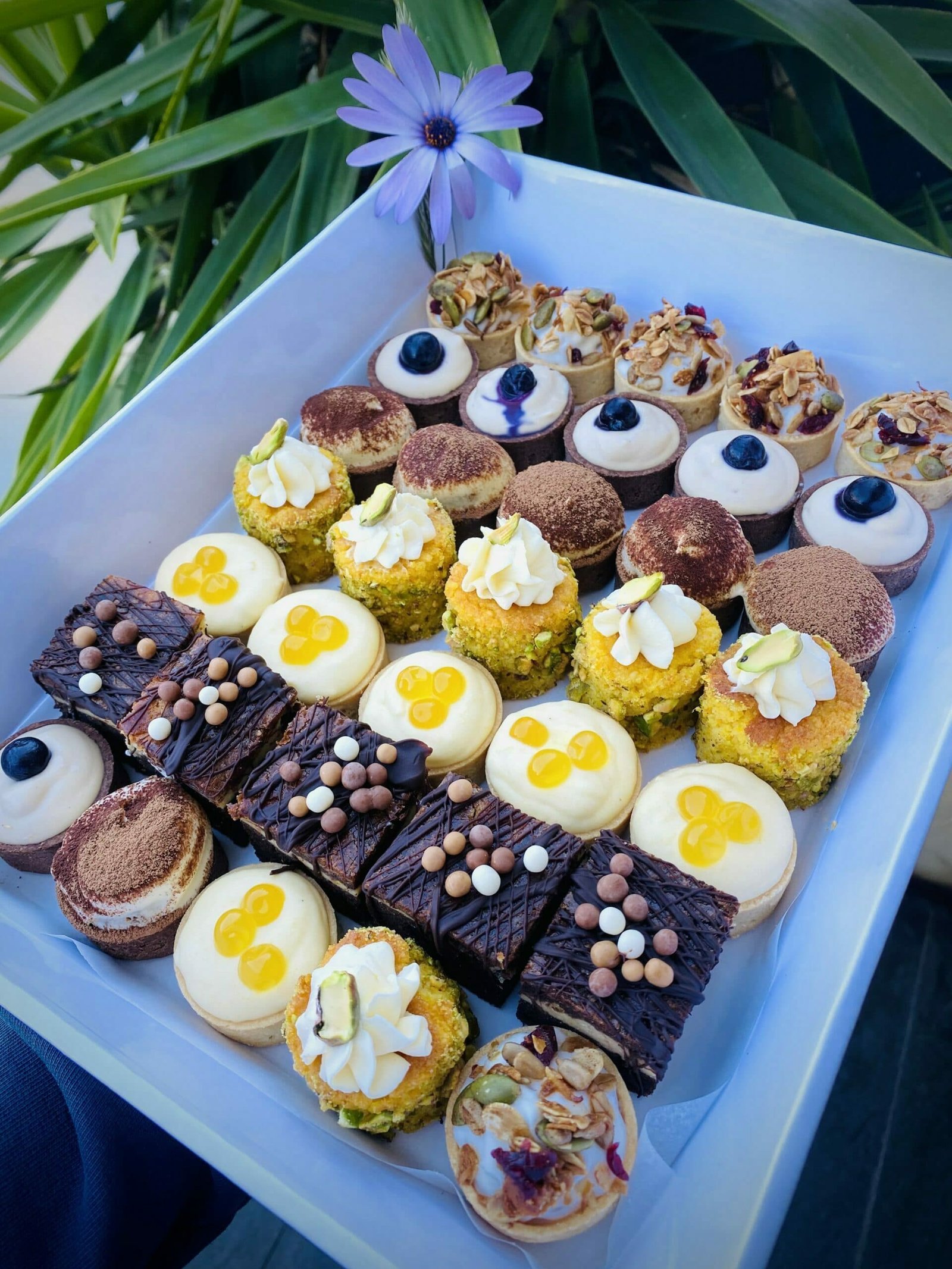 desert platter